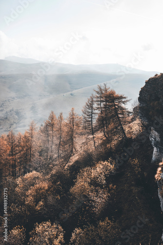 Misty autumn landscape in the Lessini Mountains, Veneto, Italy, with colorful beech forests in peak foliage, soft mountain fog, golden leaves, and a peaceful, atmospheric woodland scenery.