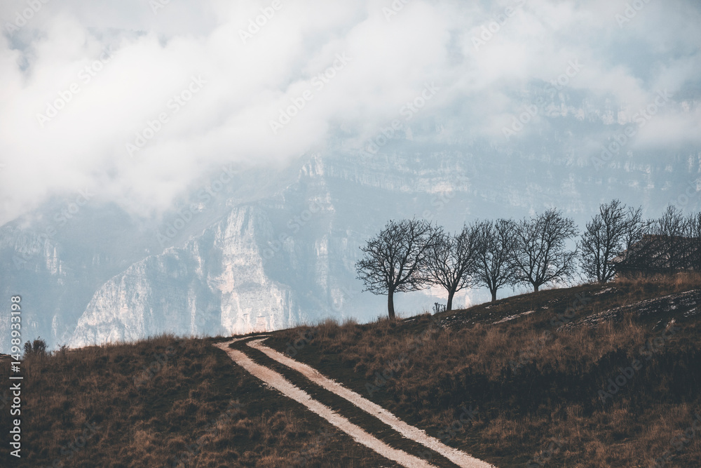 Fototapeta premium Misty autumn landscape in the Lessini Mountains, Veneto, Italy, with colorful beech forests in peak foliage, soft mountain fog, golden leaves, and a peaceful, atmospheric woodland scenery.