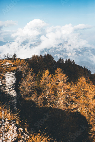 Misty autumn landscape in the Lessini Mountains, Veneto, Italy, with colorful beech forests in peak foliage, soft mountain fog, golden leaves, and a peaceful, atmospheric woodland scenery.