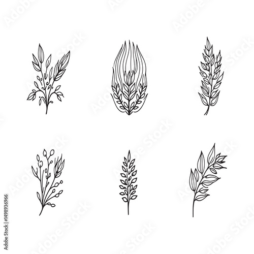 Flaxseed hand drawn botanical sketch illustration