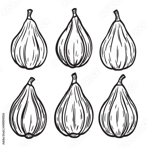 Fresh ripe figs in minimal line art style
