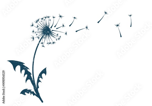 The sketch of field dandelion with flying seeds.
