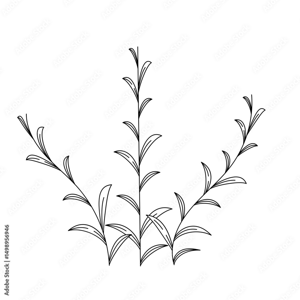 Naklejka premium Wild Leaves Outline Stylized