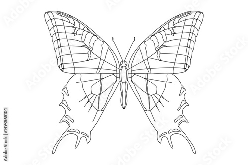 vector realistic butterfly. Cartoon black and white clip art isolated on transparent background. Hand drown design element.
