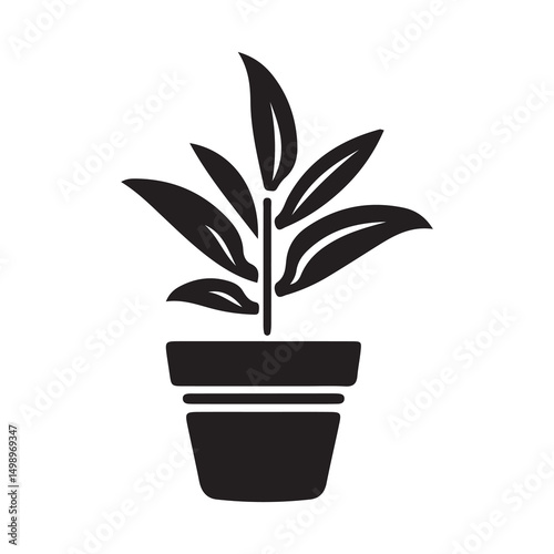 house plant in pot vector