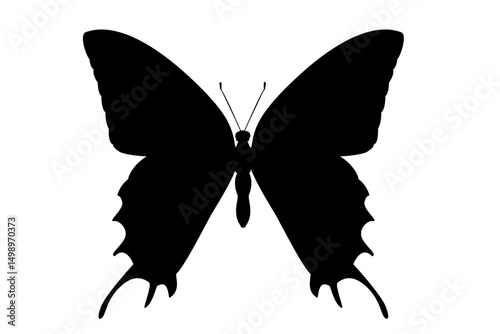 vector realistic silhouette butterfly. Cartoon black clip art isolated on transparent background. Hand drown design element.