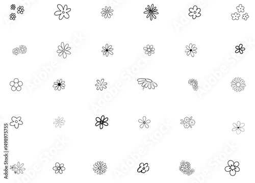 daizy flower hand made sketch illustration