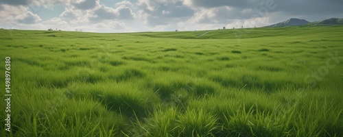 Lush green grass field, vibrant texture, isolated ,  isolated,  sward
