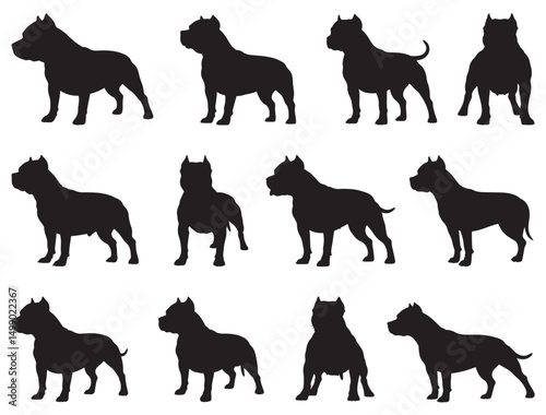 PITBULL SILHOUETTE