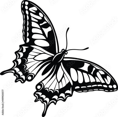 Black and white butterfly vector illustration with wings and insect details on a clean background, embodying nature's beauty