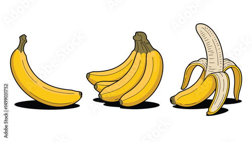 Banana Vector Set in Three Stages Including Whole, Bunch and Peeled View for Food Illustrations, Grocery Promotions and Healthy Eating Campaign Graphics
