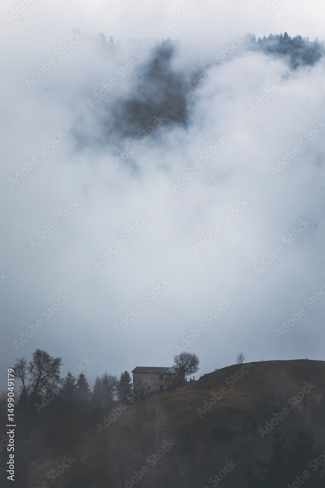 Fototapeta premium fog in the mountains on a winter day and a stone hut next to a tree