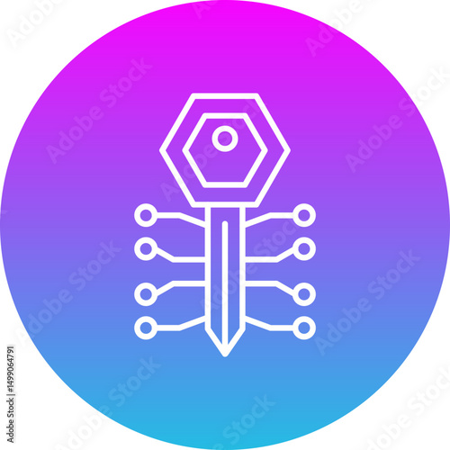 Key Icon