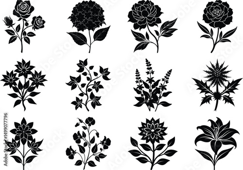 Set rose flower silhouette victor style,seamless floral pattern,Spring Blossom Branches Silhouette on White Background,