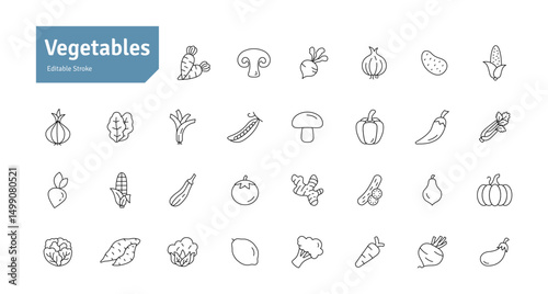 Vegetables Icons Set. Healthy Eating, Vegan Food, Weight Loss, Organic Food, Carrot, Lemon, Tomato, Chili, Cucumber, Potato Icons Editable Stroke Vector Illustration