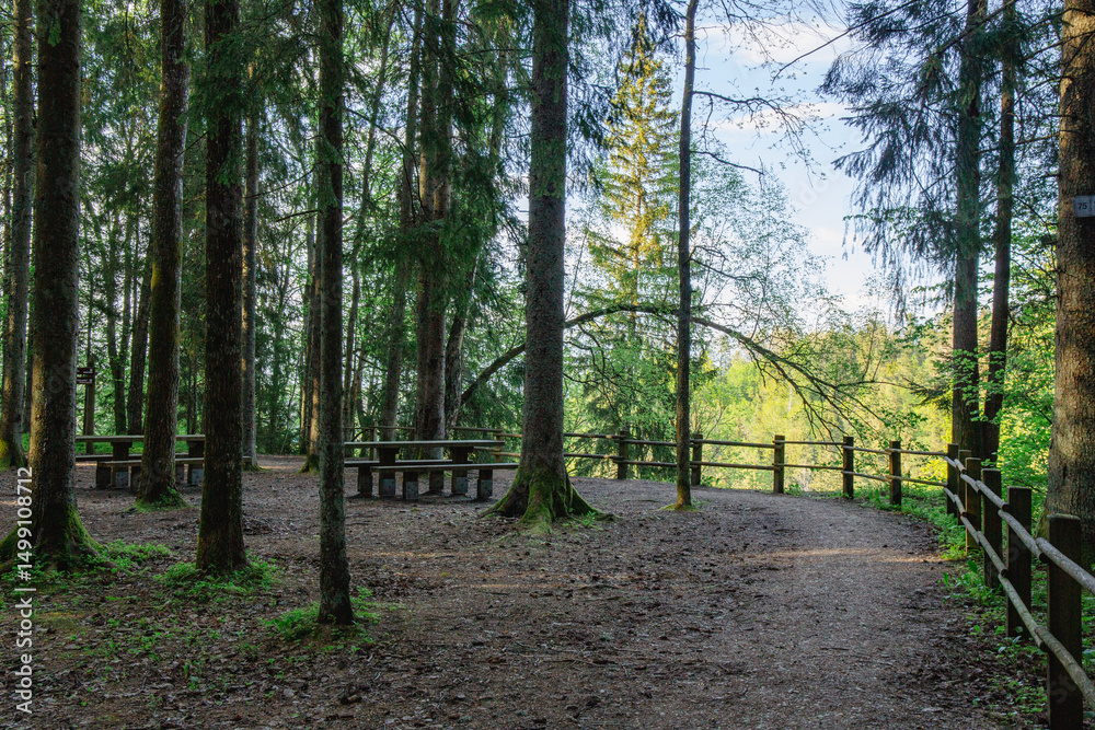 Obraz premium The view of Witch pot (Raganu katls) in spring in May in nature park in Latvia