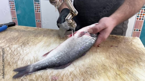 Fisherman cleaning the fish scales on the counter.