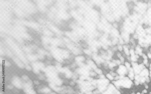 Abstract shadow overlay from tree branch on a transparent background.