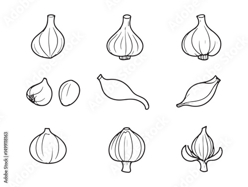 Hand drawn garlic cloves with clean simple line art