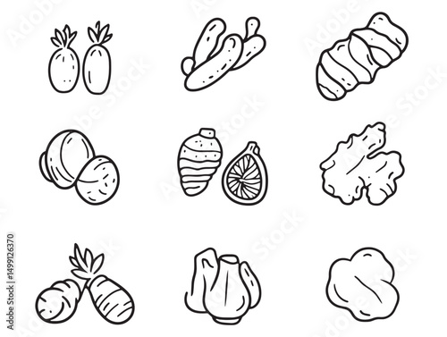 Fresh Ginger Root Hand Drawn Line Art Vector Illustration