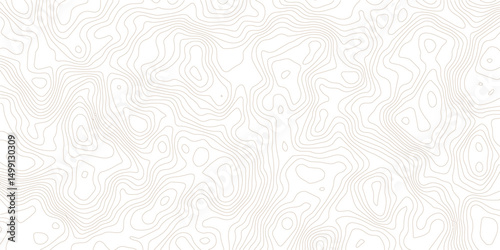 Abstract wave paper curved reliefs background .gradient multicolor wave curve lines banner background design .topographic contours map background .Vector geographic contour map.