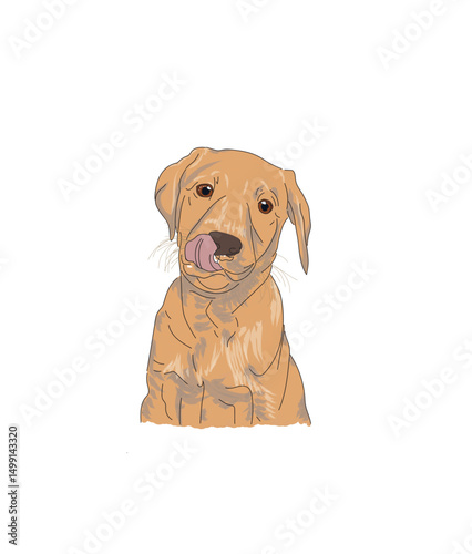 Puppy dog licking face 
