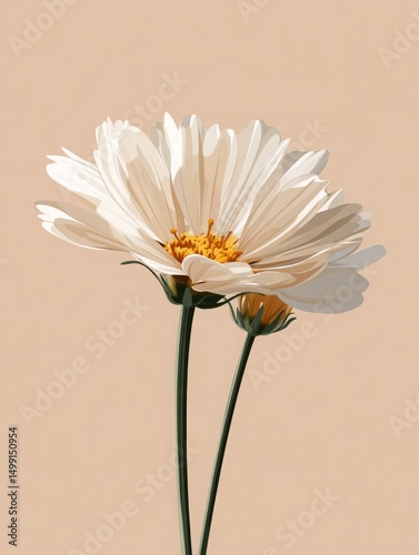 Elegant White Daisies on Soft Blue – Serene Floral Art with Natural Shadows for Timeless Decor