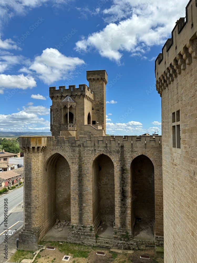 Obraz premium Vue d'Olite et d'une partie du Palais Royal depuis les tours