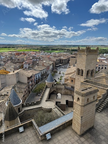 Vue d'Olite et d'une partie du château depuis les tours