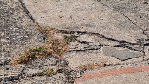 Cracked Concrete Surface with Grass Growing Through the Gaps Showing Urban Decay and Natural Resilience
