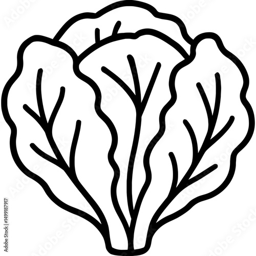 Bold line lettuce vegetable icon