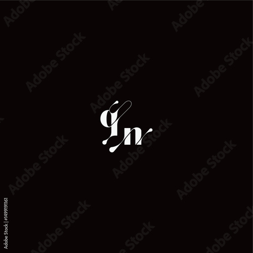 wedding typography initial monogram style and elegant concept QN organic hairline logo letter