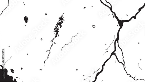 Vector grunge cracked texture. Black cracks isolated on white background. Abstract cracked texture .