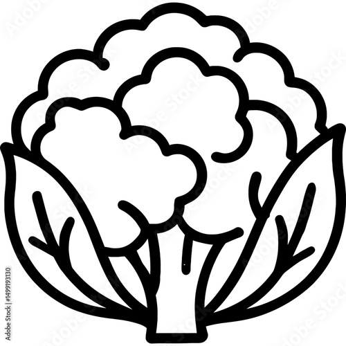 Minimalist cauliflower vector icon