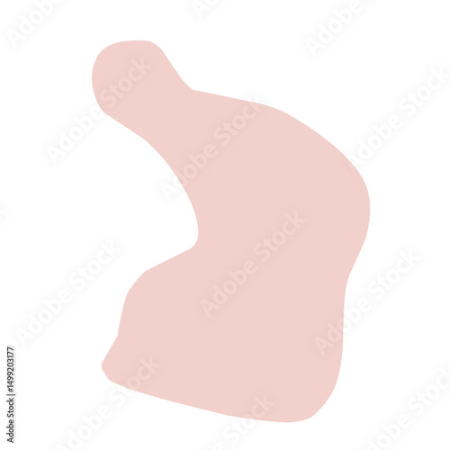Chicken Meat Flat Illustration 