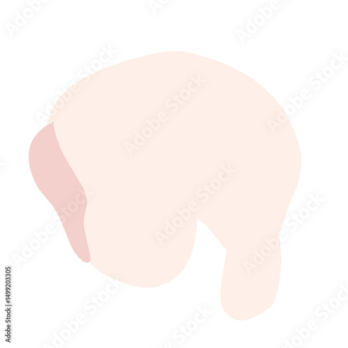 Chicken Meat Flat Illustration 