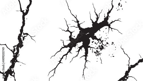 Vector grunge cracked texture. Black cracks isolated on white background. Abstract cracked texture .