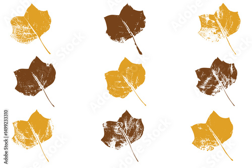 Natural  tulip tree leaves imprint, Grunge style, Vector, Isolated, Decorative elements for design	