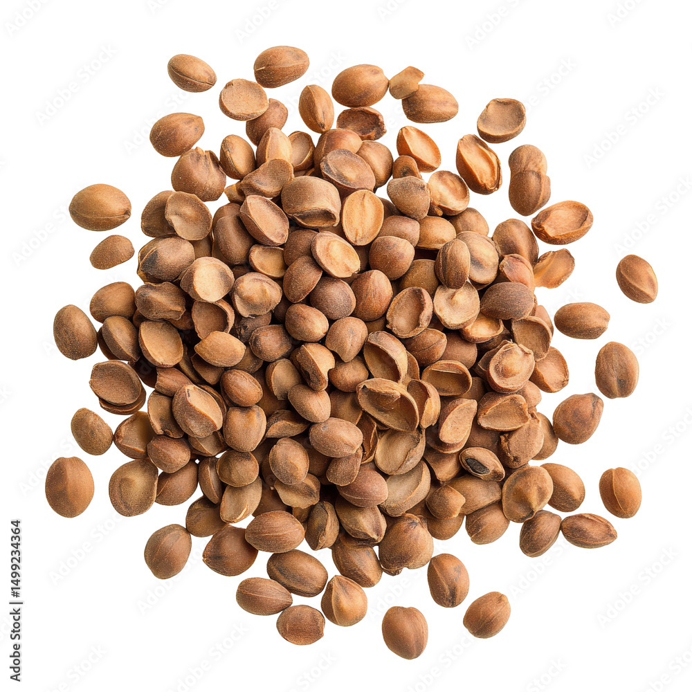 Obraz premium Pile of roasted argan seeds on a transparent background vector Concept of argan oil production, culinary ingredient, and healthy snack