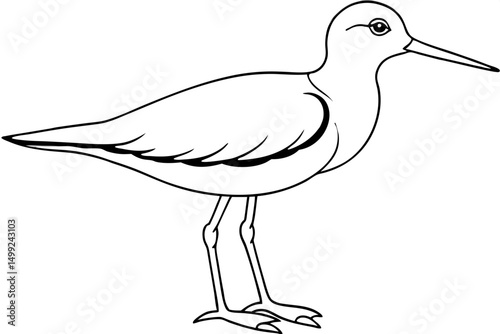sandpiper silhouette line art vector illustration with a white background