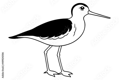 sandpiper silhouette line art vector illustration with a white background