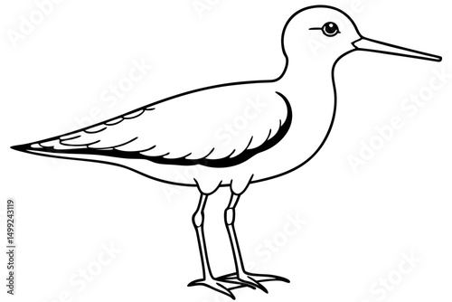 sandpiper silhouette line art vector illustration with a white background
