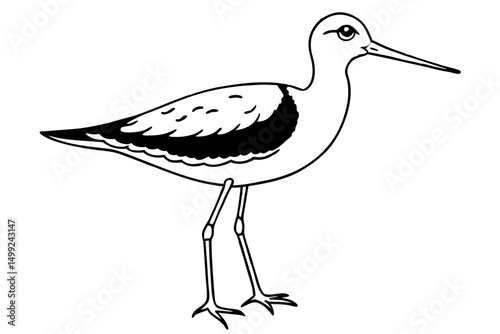 sandpiper silhouette line art vector illustration with a white background