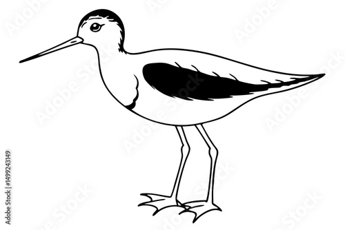 sandpiper silhouette line art vector illustration with a white background