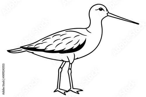 sandpiper silhouette line art vector illustration with a white background