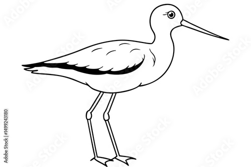 sandpiper silhouette line art vector illustration with a white background