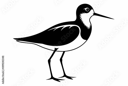 sandpiper silhouette line art vector illustration with a white background