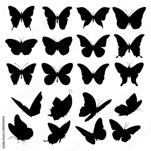 diverse butterfly silhouette collection