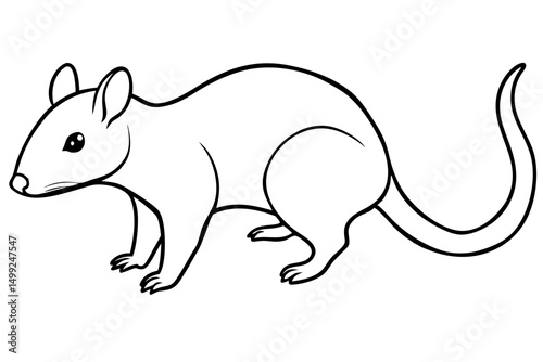 shrew silhouette line art vector illustration with a white background