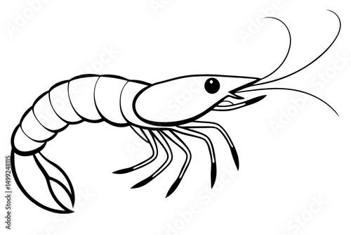 shrimp silhouette line art vector illustration with a white background